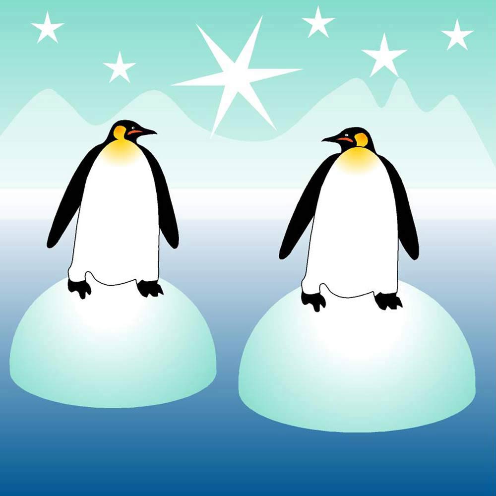 Animales- Aves - Pingüinos