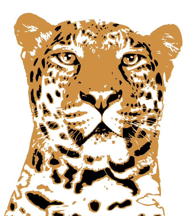 Ilustración gratis - Rostro del leopardo