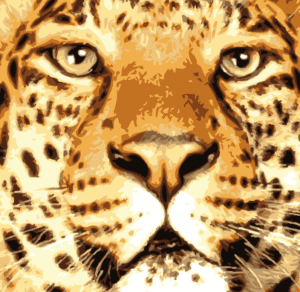 Rostro felino de un leopardo