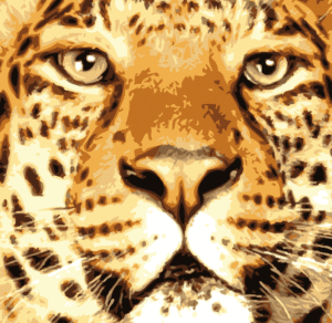 Leopard Face