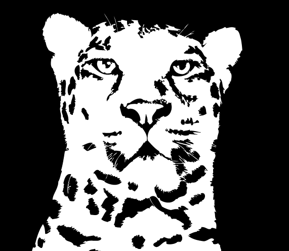 Ilustración gratis - Rostro del leopardo en blanco y negro