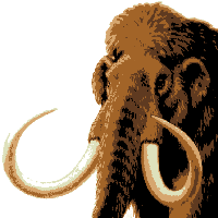 Mamut lanudo – Mammuthus