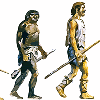 Ilustración con la evolución del hombre