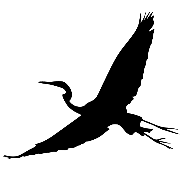 Ilustración gratis - La garza volando