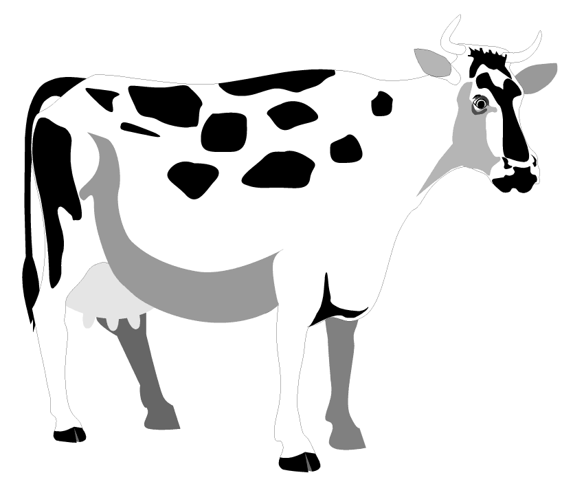 Dibujo de una vaca blanca con manchas negras
