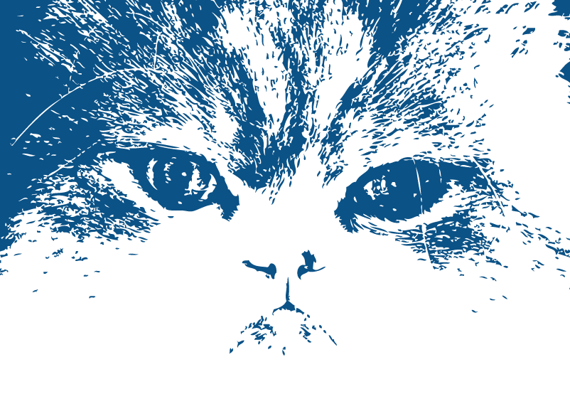 Ilustración gratis - Rostro de gato persa