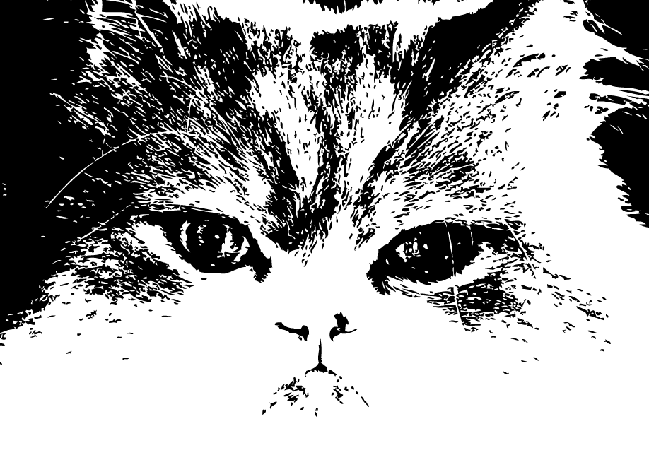 Ilustración gratis - Rostro de gato persa
