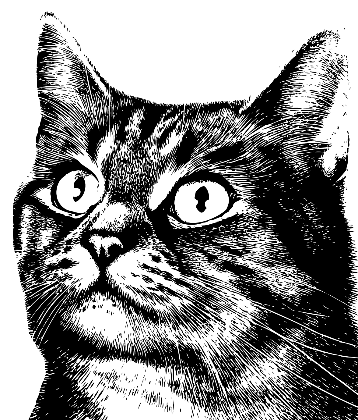 Ilustración gratis - Rostro de un gato con ojos grandes