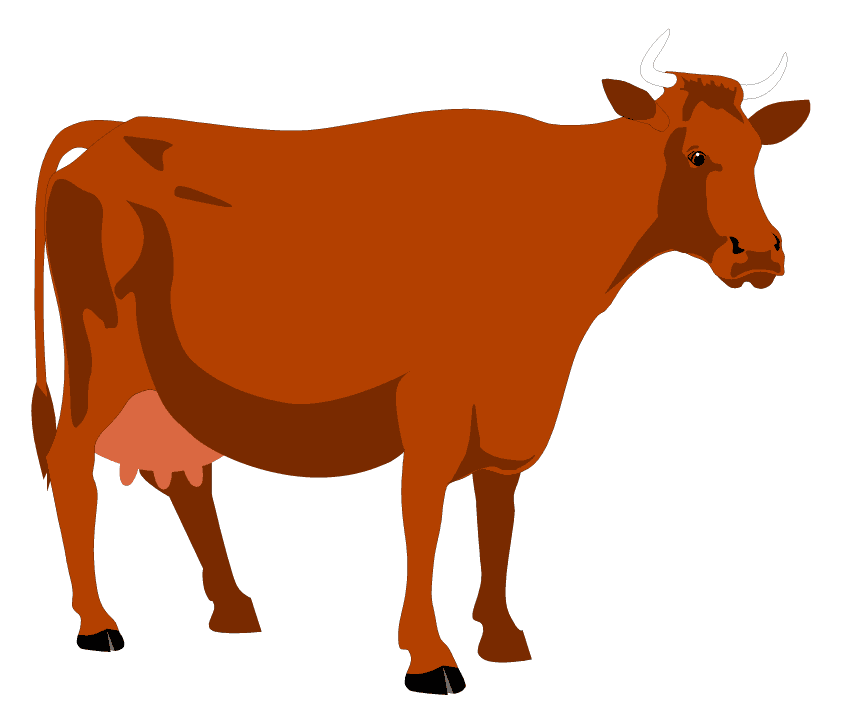 Dibujo de una vaca lechera marrón