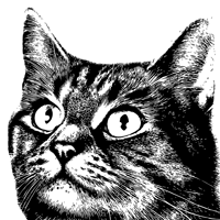 Dibujo a tinta de un gato con ojos grandes