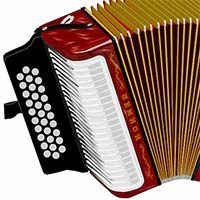 Instrumentos musicales del vallenato