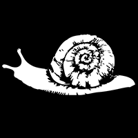 dibujo caracol snail scargot