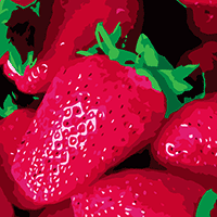 ilustración de fresas rojas