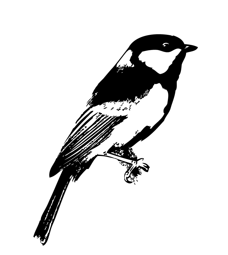 Ilustración pájaro en blanco y negro