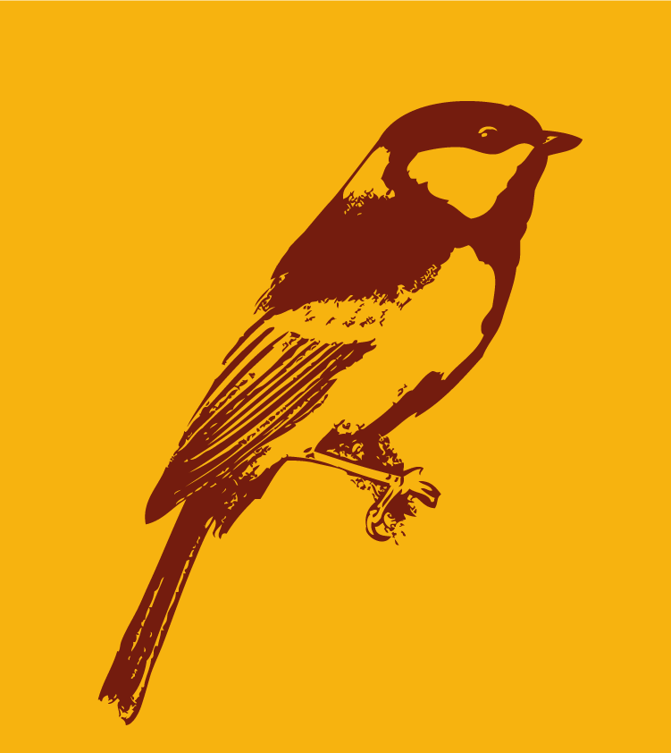 Ilustración pájaro Cabernero común