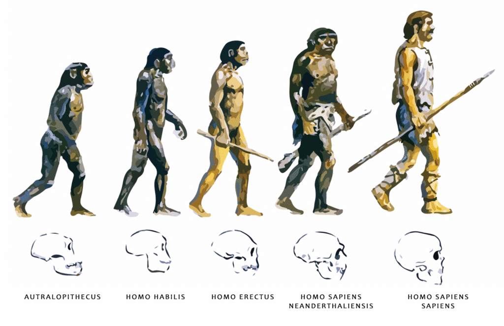 Ilustración La evolución del hombre