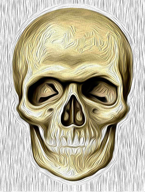 Ilustración gratis - Ilustraciones de una calavera o cráneo humano